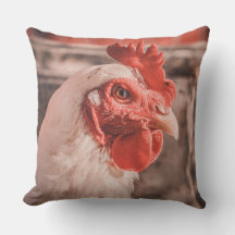 Coussin de poulet agricole