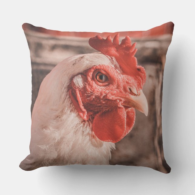 Coussin de poulet agricole (Recto)