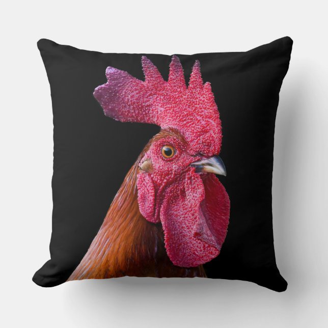 Coussin de poulet coq (fond noir) (Recto)