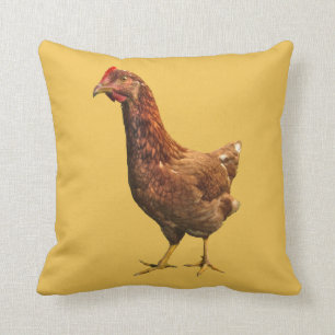 Coussin de poulet de poule de rouge d'île de Rhod
