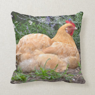 Coussin de poulet d'Orpington
