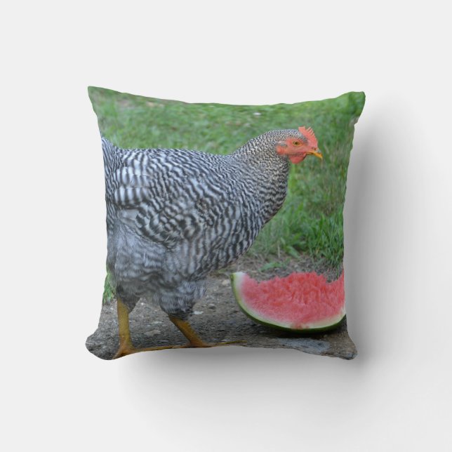 Coussin de poulet et pastèque (Recto)