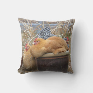 Coussin de poulet mignon
