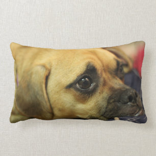 Coussin de Puggle