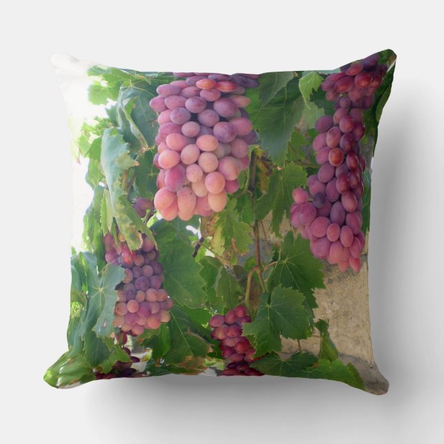 Coussin de raisins de vin (Recto)