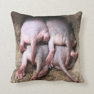 Coussin de rat de taupe nue