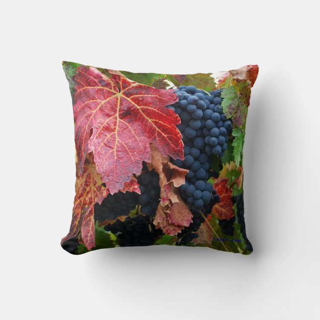 Coussin de récolte de raisin (Recto)