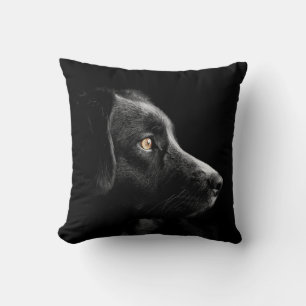 coussin de récupération du labrador noir