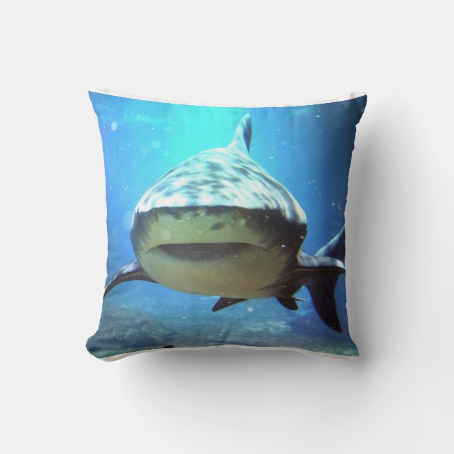 Coussin de requin (Recto)