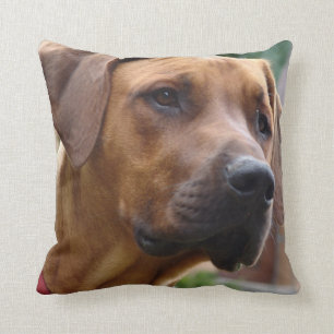 Coussin de Rhodesian Ridgeback