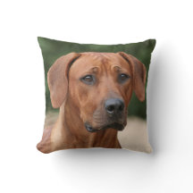 Coussin de Rhodesian Ridgeback