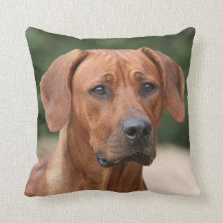 Coussin de Rhodesian Ridgeback