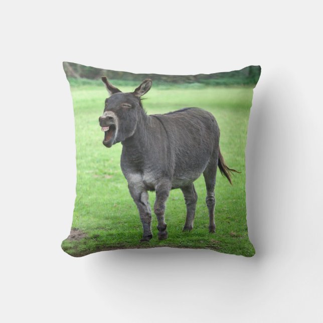 Coussin de rire d'âne (Recto)