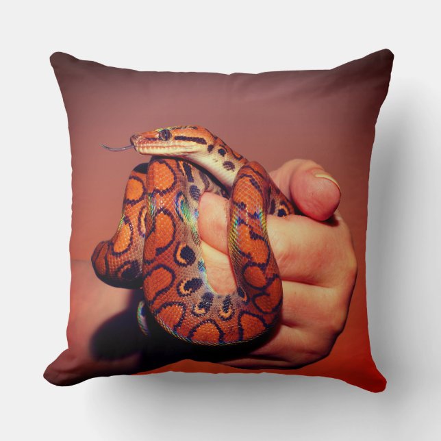 Coussin de serpent (Recto)