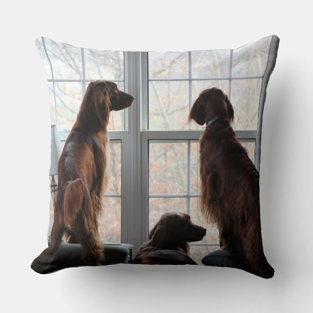 Coussin de Setter irlandais (Recto)