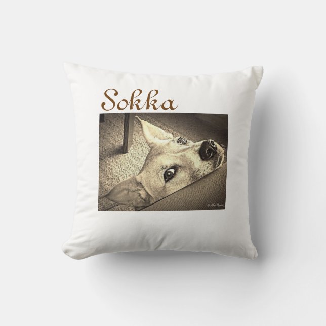Coussin de Sokka Neji (Recto)
