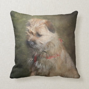 Coussin de Terrier de frontière