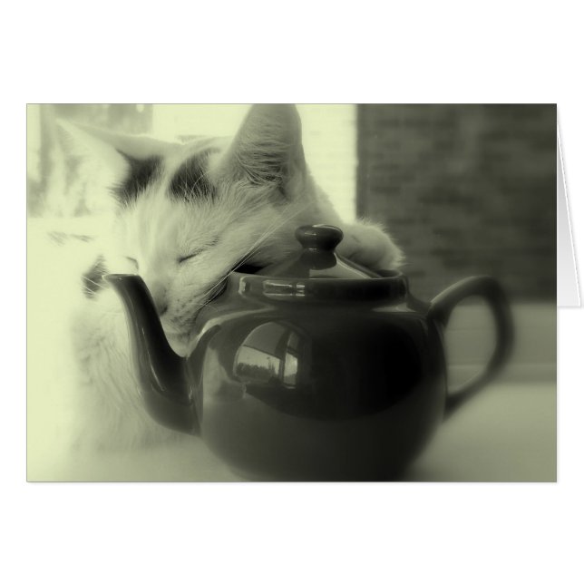 Coussin de thé (Devant horizontal)