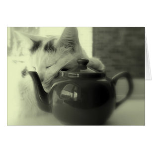 Coussin de théière