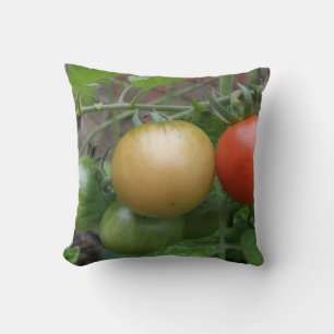 Coussin de tomates du feu de circulation