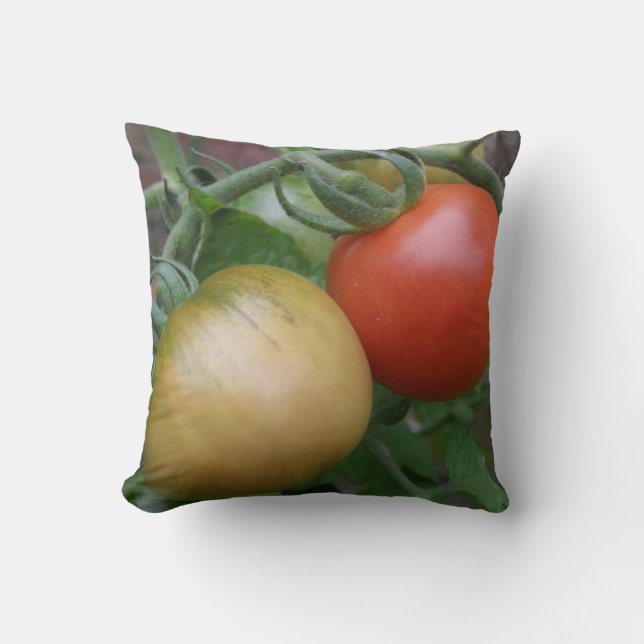 Coussin de tomates orange et rouge (Recto)