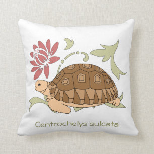 Coussin de tortue de Sulcata de bébé