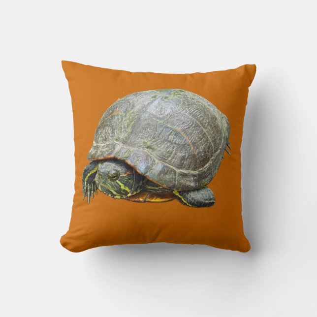 Coussin de tortue peinte (Recto)