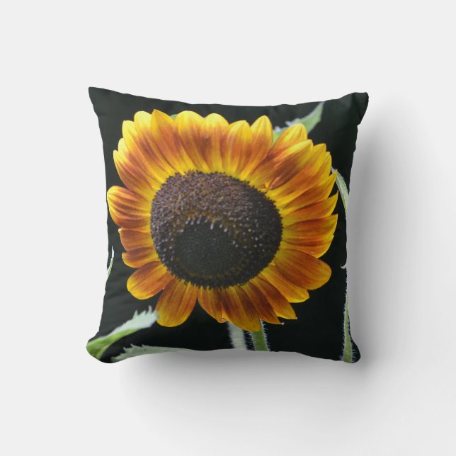 Coussin de tournesol brillant (Recto)