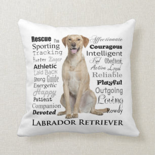 Coussin de traits de laboratoire