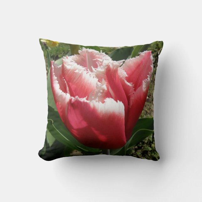 Coussin de tulipe à franges roses (Recto)