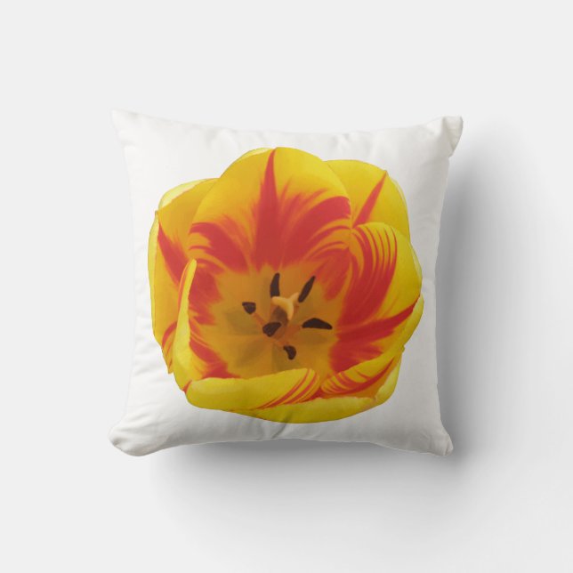 Coussin de Tulipe de feu (Recto)