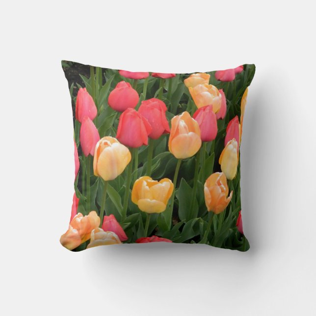 Coussin de tulipe (rouge et jaune) (Recto)