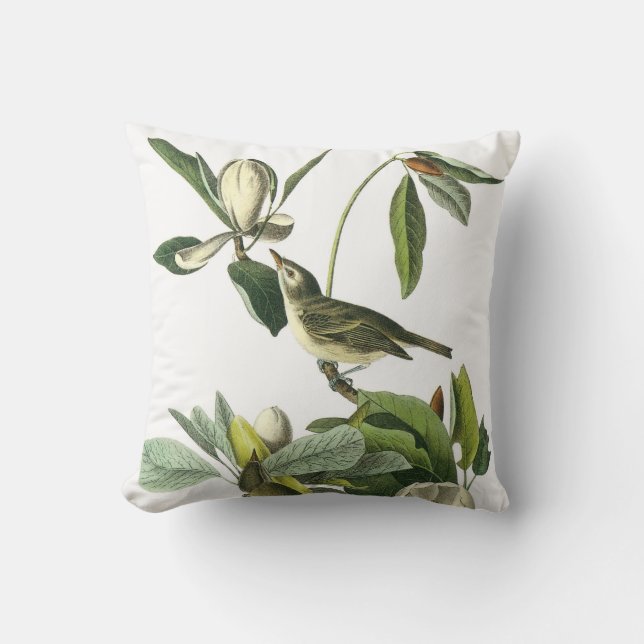 Coussin de viréo de John James Audubon (Recto)