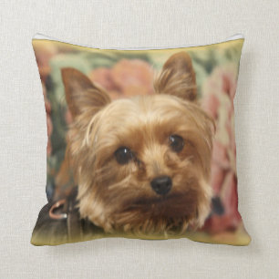 Coussin de Yorkie
