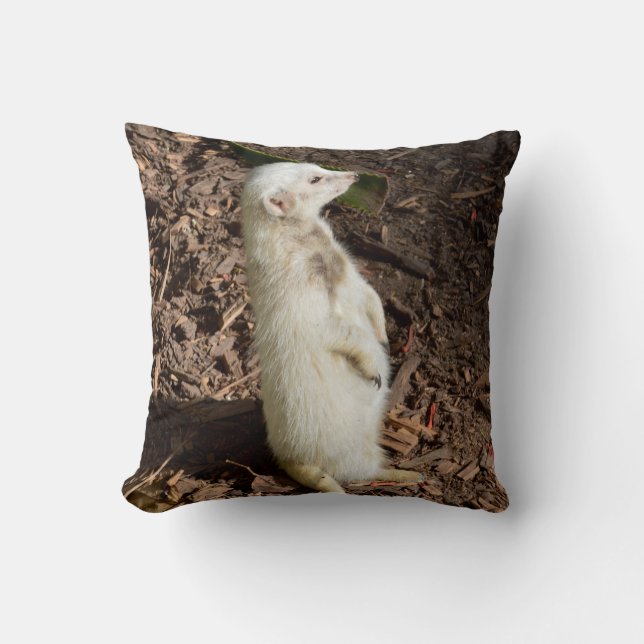 Coussin Debout blanc Meerkat, Cushion (Recto)