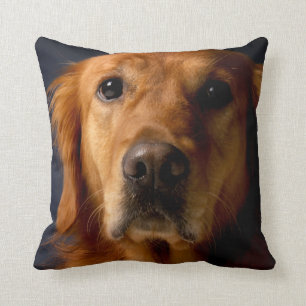 Coussin Décor de maison de carreau de chien de golden