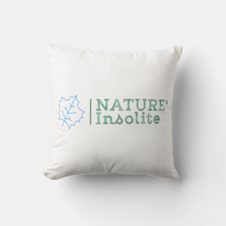 Coussin décoratif