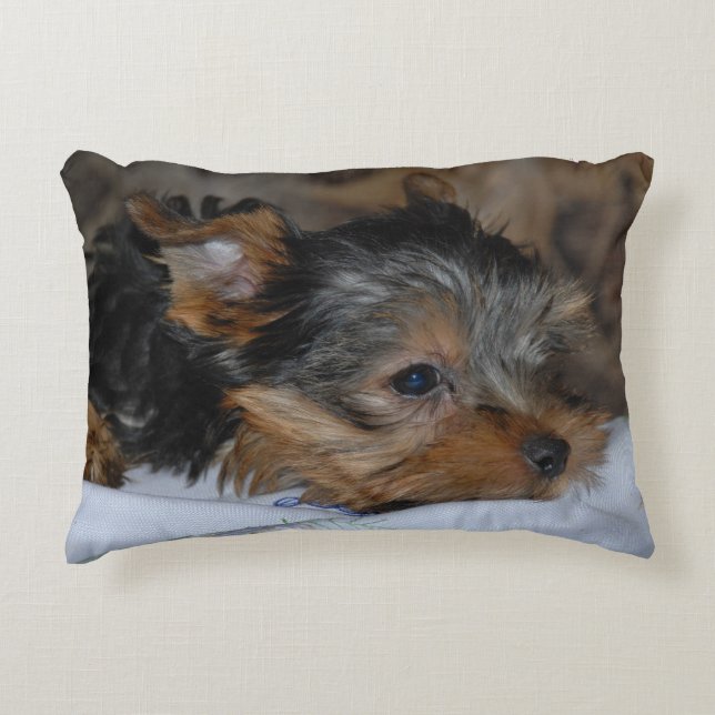 coussin décoratif avec un petit chien (Devant)