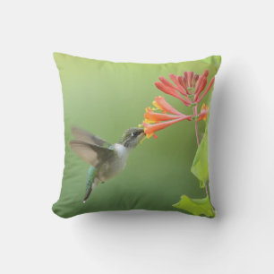 Coussin décoratif Colibri et Chèvrefeuille