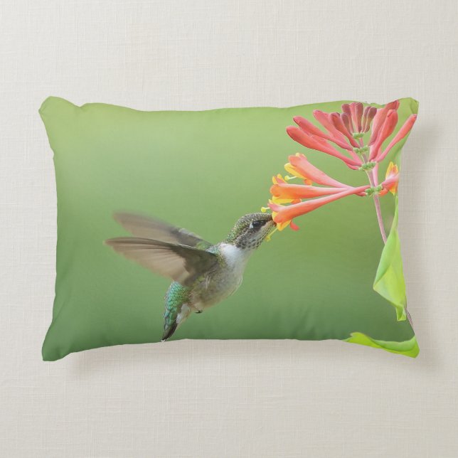 Coussin décoratif Colibri et Chèvrefeuille Corail (Devant)