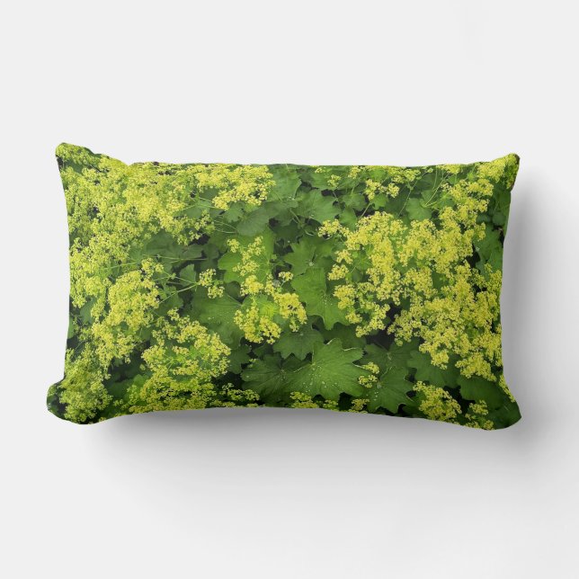 Coussin décoratif de botanique de lierre vert luxu (Recto)