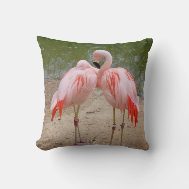 coussin décoratif flamant rose (Recto)