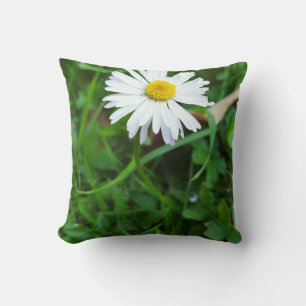 Coussin décoratif, marguerite, fleur