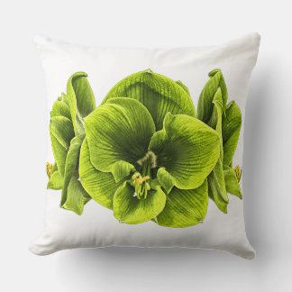 Coussin décoratif Rétro Pop Art Amaryllis vert