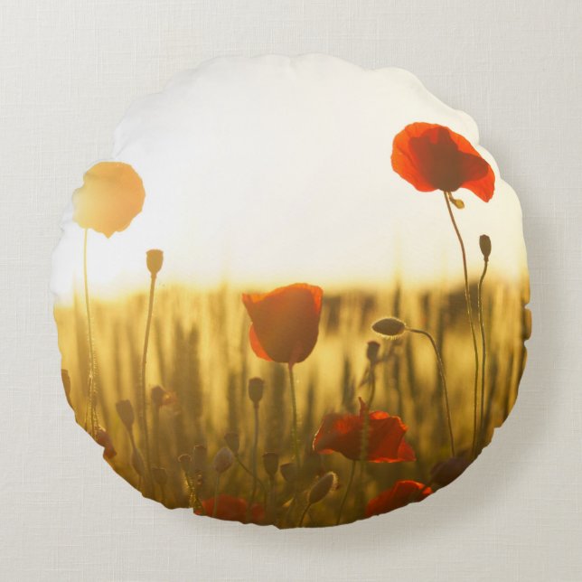Coussin décoratif rond (40,6 cm) (Devant)