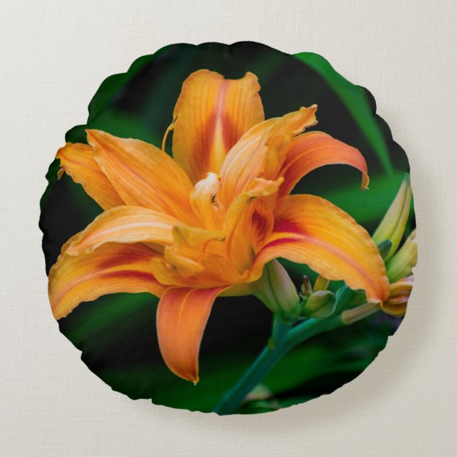 Coussin décoratif rond (40,6 cm) (Devant)