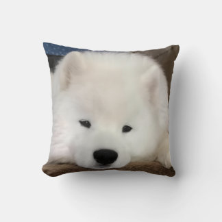 Coussin décoratif Samoyède endormi 40 x 40 cm