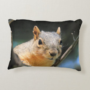 Coussin d'écureuil