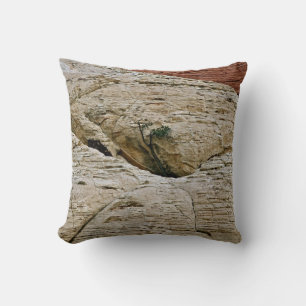 COUSSIN DÉFIANT LES PROBABILITÉS, ARBRE ENTRE ROCHERS DU D