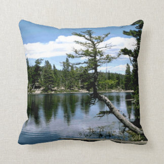 Coussin Dehors dans les bois